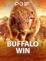 Panduan Bermain Buffalo Win