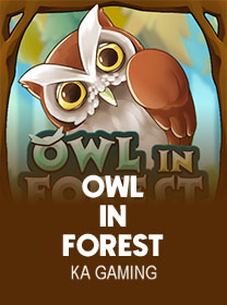 OwlIn-Forest